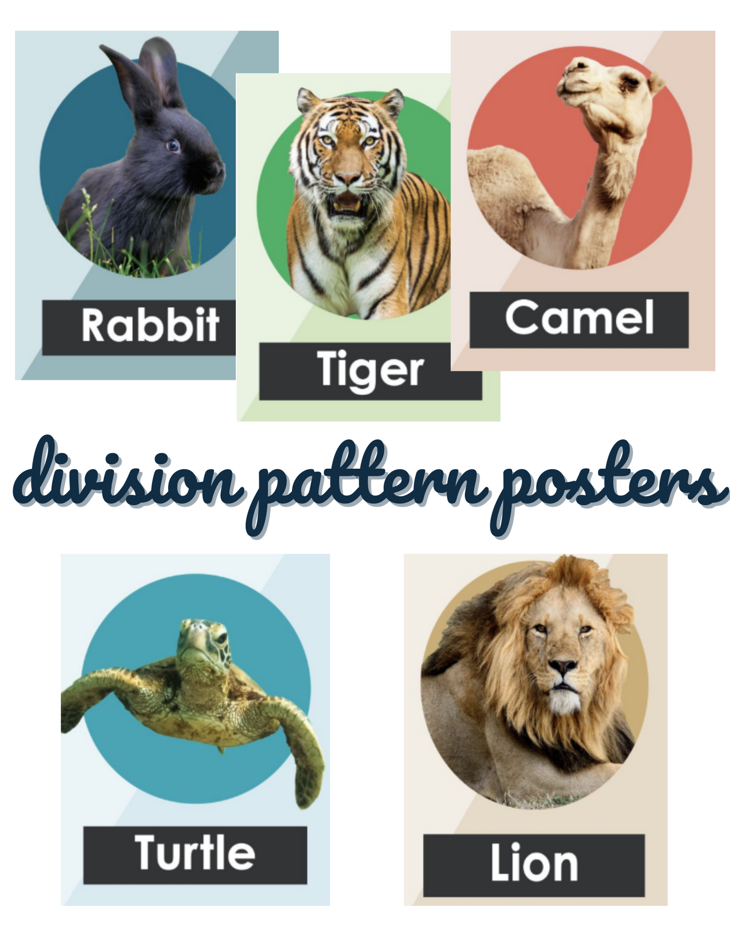 Digital Concept Posters